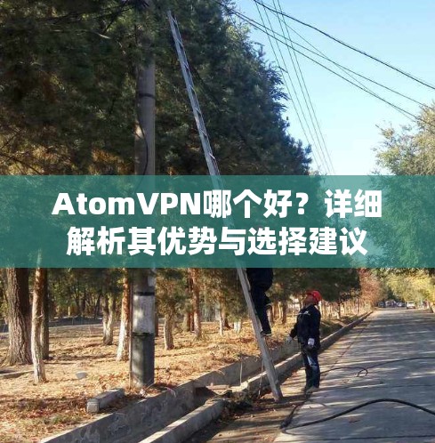 AtomVPN哪个好？详细解析其优势与选择建议